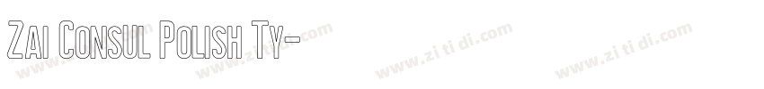 Zai Consul Polish Ty字体转换